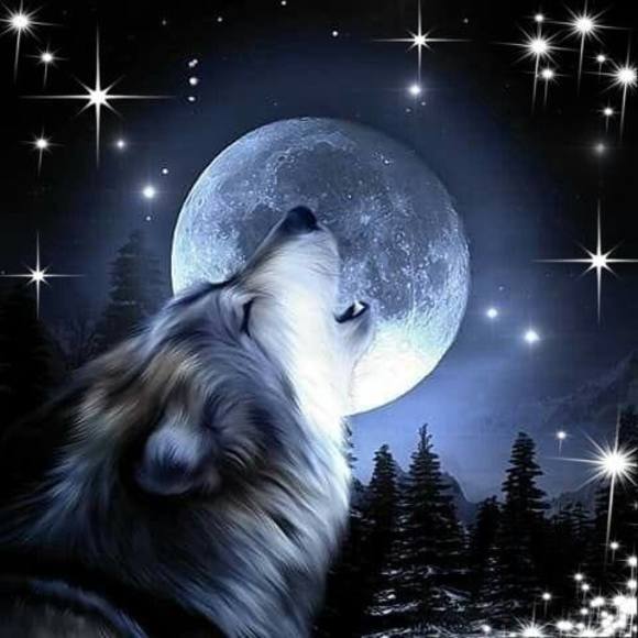 Meet your Posher, Sherri - Picture 1 of 1